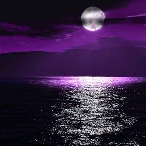 Meet your Posher, Sergio